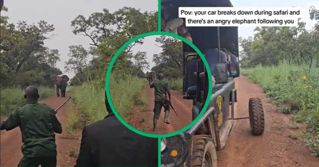 Safari van breaks down leaving people faced with angry elephant, video goes viral. Safari van breaks down leaving people faced with angry elephant, video goes viral.