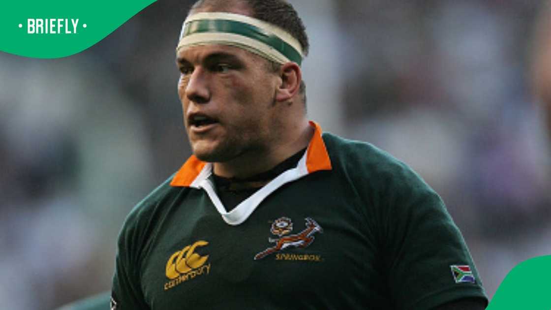 Springboks