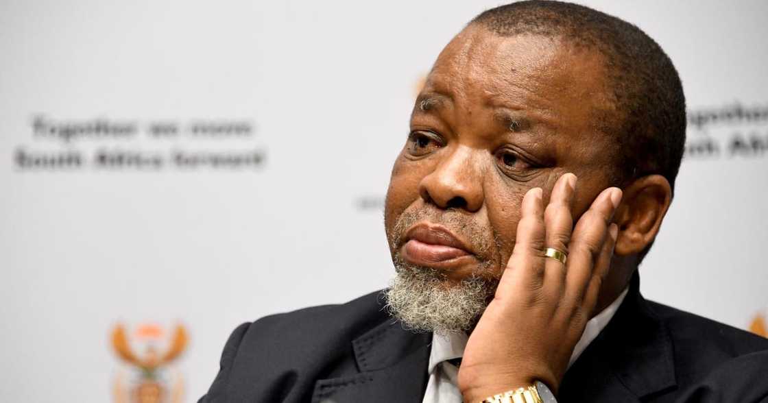 Gwede Mantashe Gets His COVID Vaccine, Mzansi Has Savage Reactions