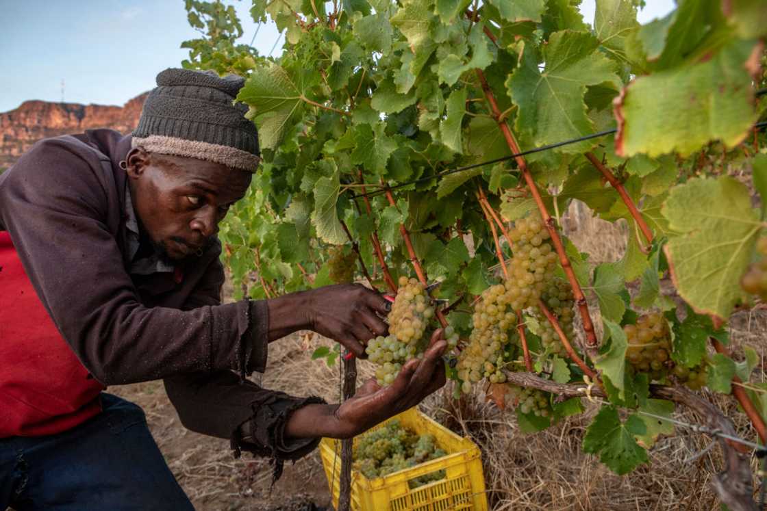 Farmworkers will be entitled to a pay increase thanks to the minimum wage increase Farmworkers will be entitled to a pay increase thanks to the minimum wage increase