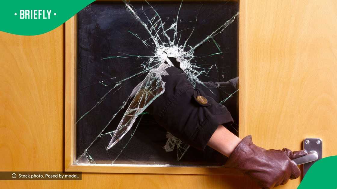 SA amazed by burglar's advanced skills SA amazed by burglar's advanced skills