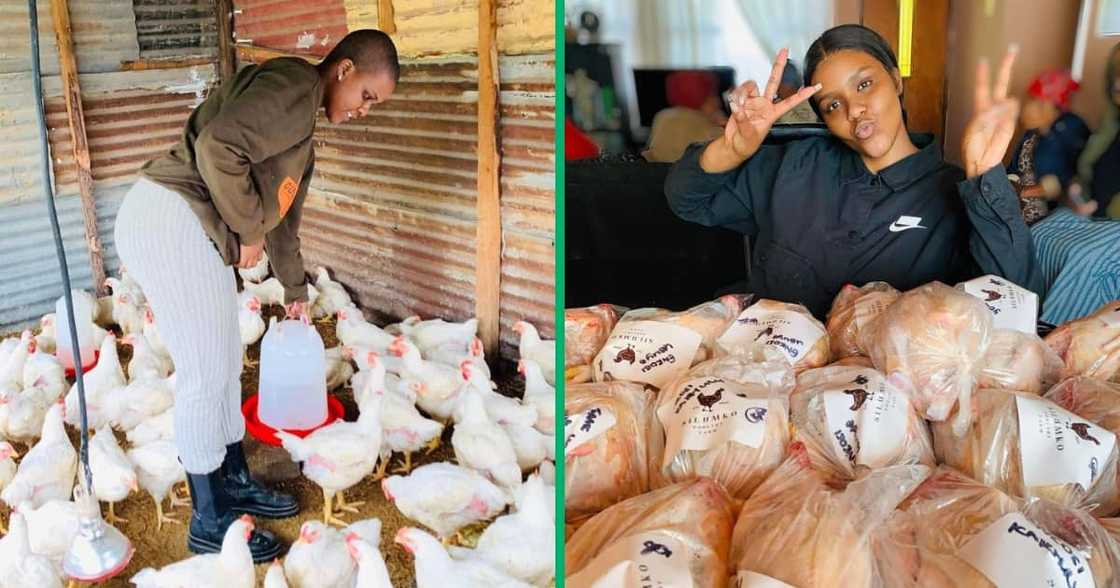 A lady who is a farmer in the Eastern Cape and loves working hard A lady who is a farmer in the Eastern Cape and loves working hard