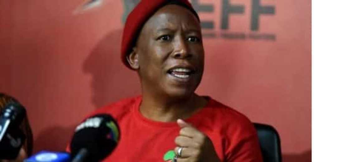 barry bateman julius malema barry bateman julius malema