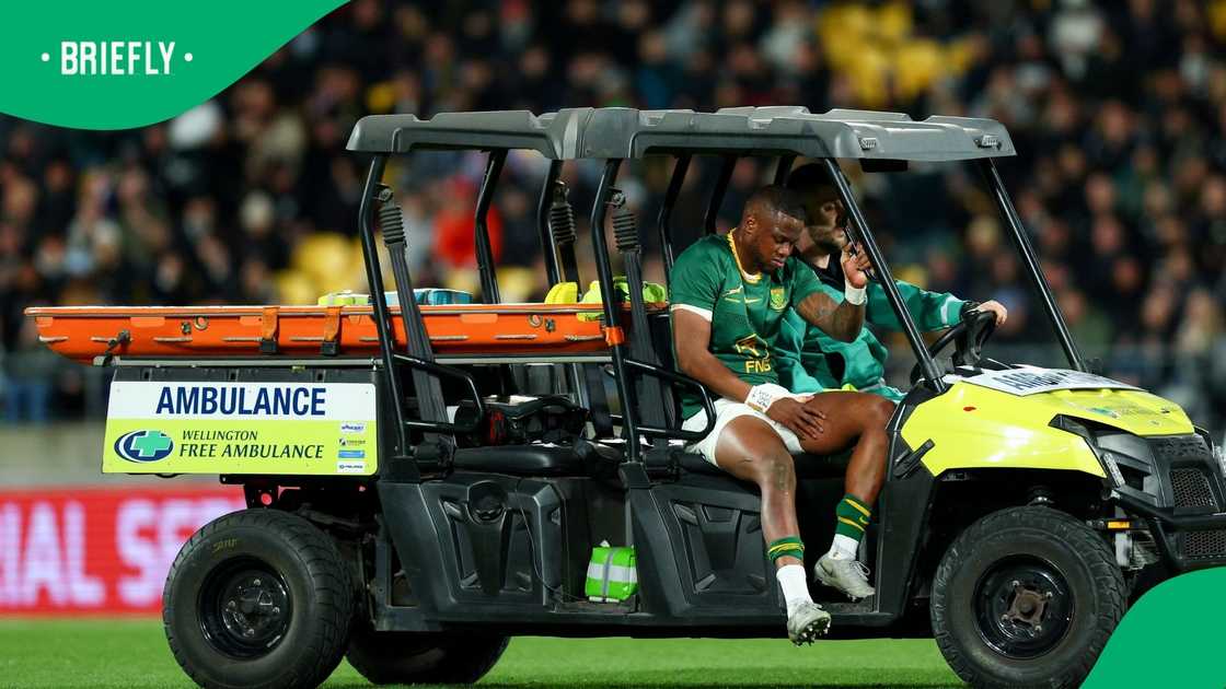 Springboks, Aphelele Fassi, South Africa, Rugby Championship