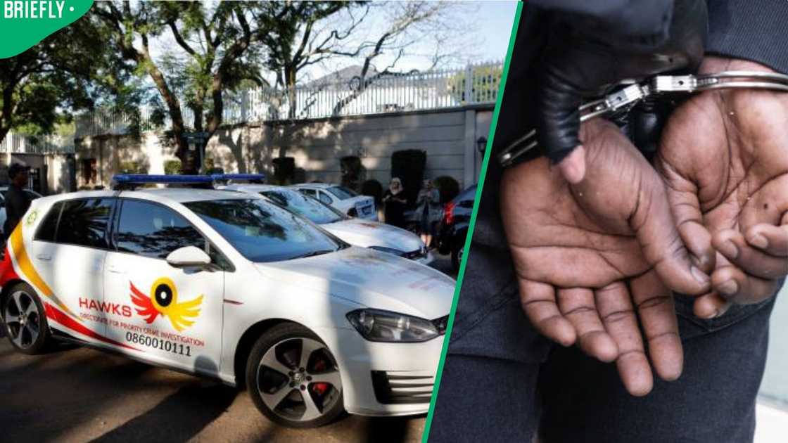 Hawks arrest