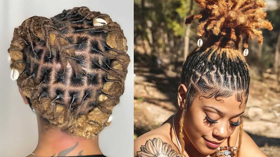 dreadlocks styles for ladies dreadlocks styles for ladies