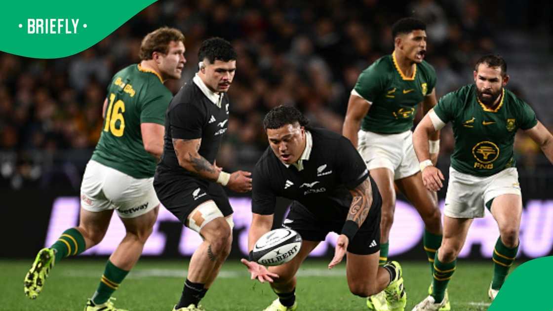 Springboks, All Blacks, South Africa Springboks, All Blacks, South Africa