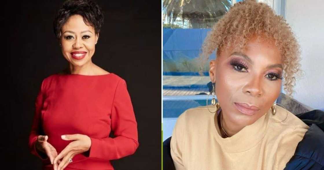 Redi Tlhabi, views, Nathi Mthethwa’s R22 million flag project, claps back, Penny Lebyane