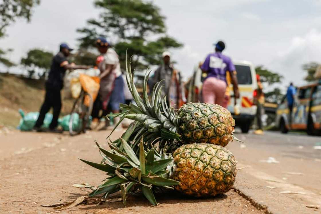 Pineapples at an informal market on the road in Kenya