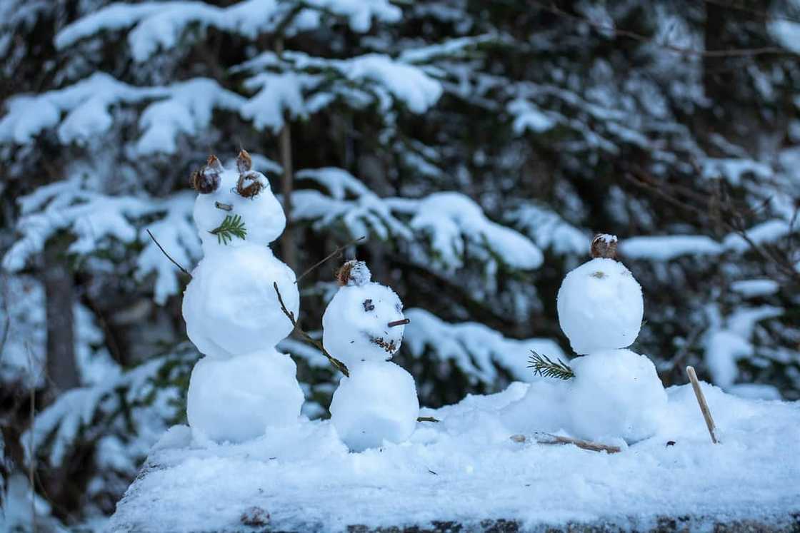 Snowman Snowman