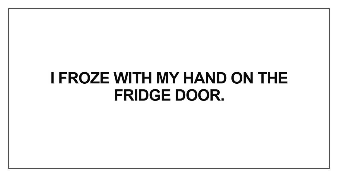 I froze with my hand on the fridge I froze with my hand on the fridge
