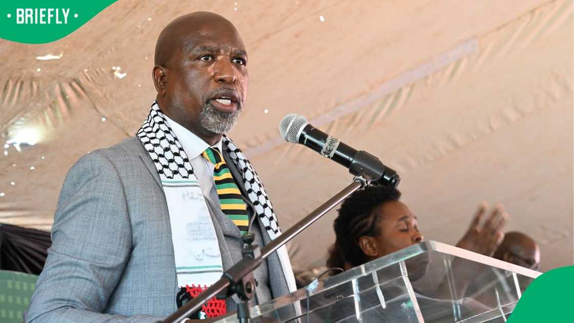 Parliament's Ad Hoc Committee chairperson, Soviet Lekganyane