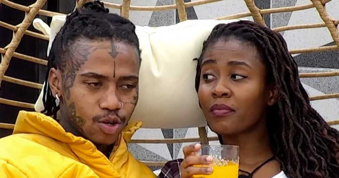 Big Brother Mzansi, Entertainment Big Brother Mzansi, Entertainment