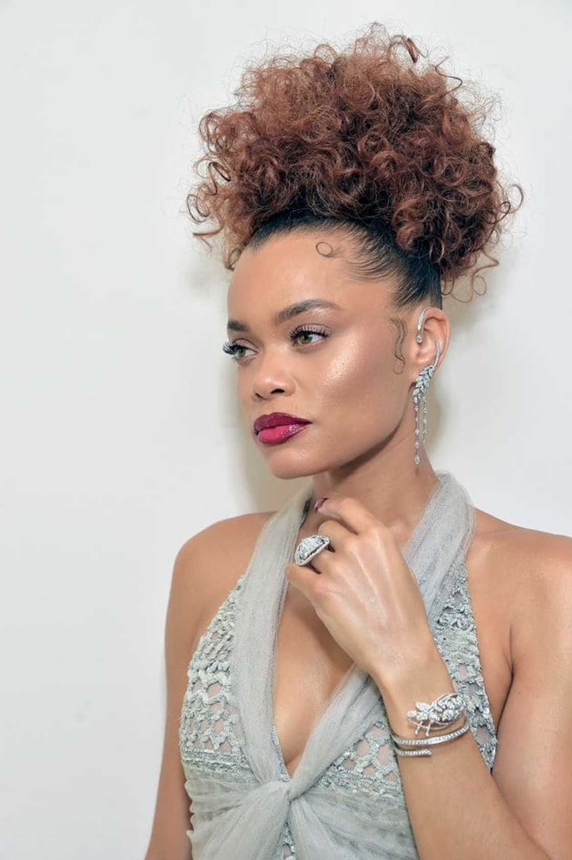 Andra Day husband Andra Day husband