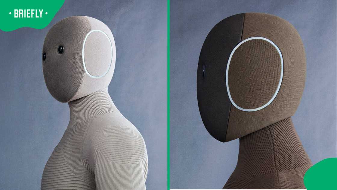 New domestic worker robot up for reservation at R3k