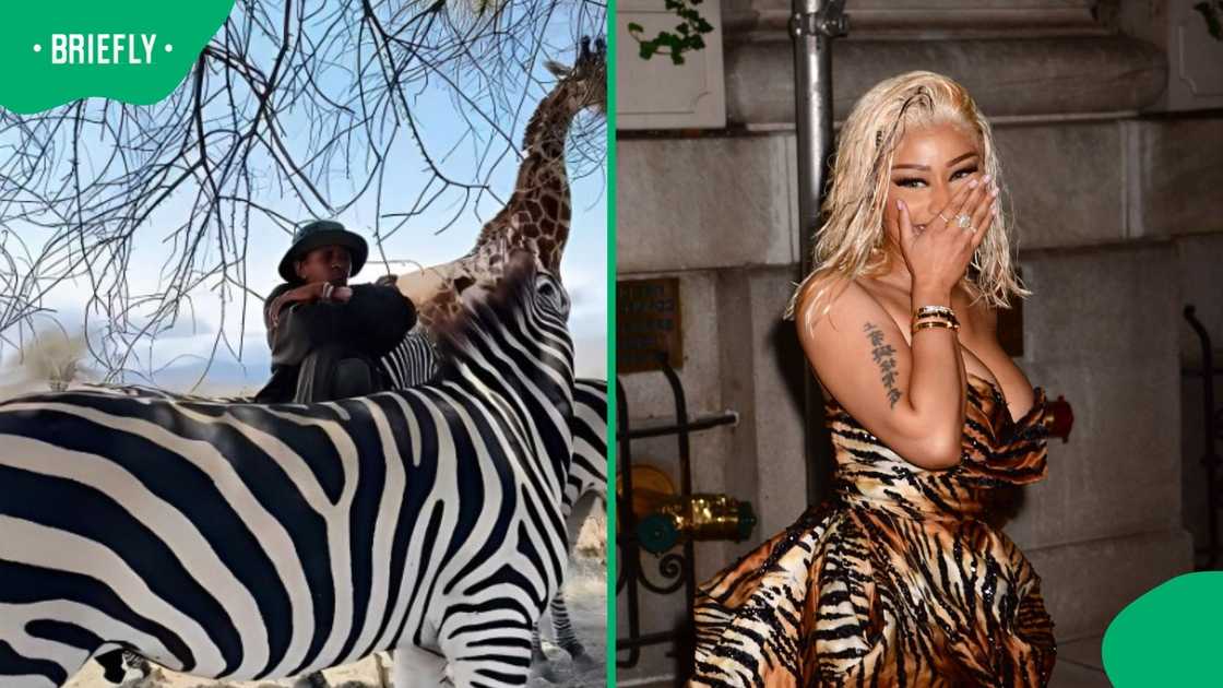 A man did the Nicki Minaj pose challenge while wildlife surrounded him. A man did the Nicki Minaj pose challenge while wildlife surrounded him.