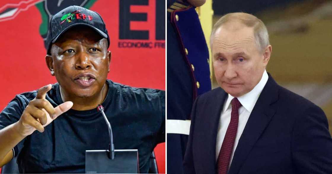 EFF leader Julius Malema on Russian President Vladimir Putin's visit to South Africa EFF leader Julius Malema on Russian President Vladimir Putin's visit to South Africa