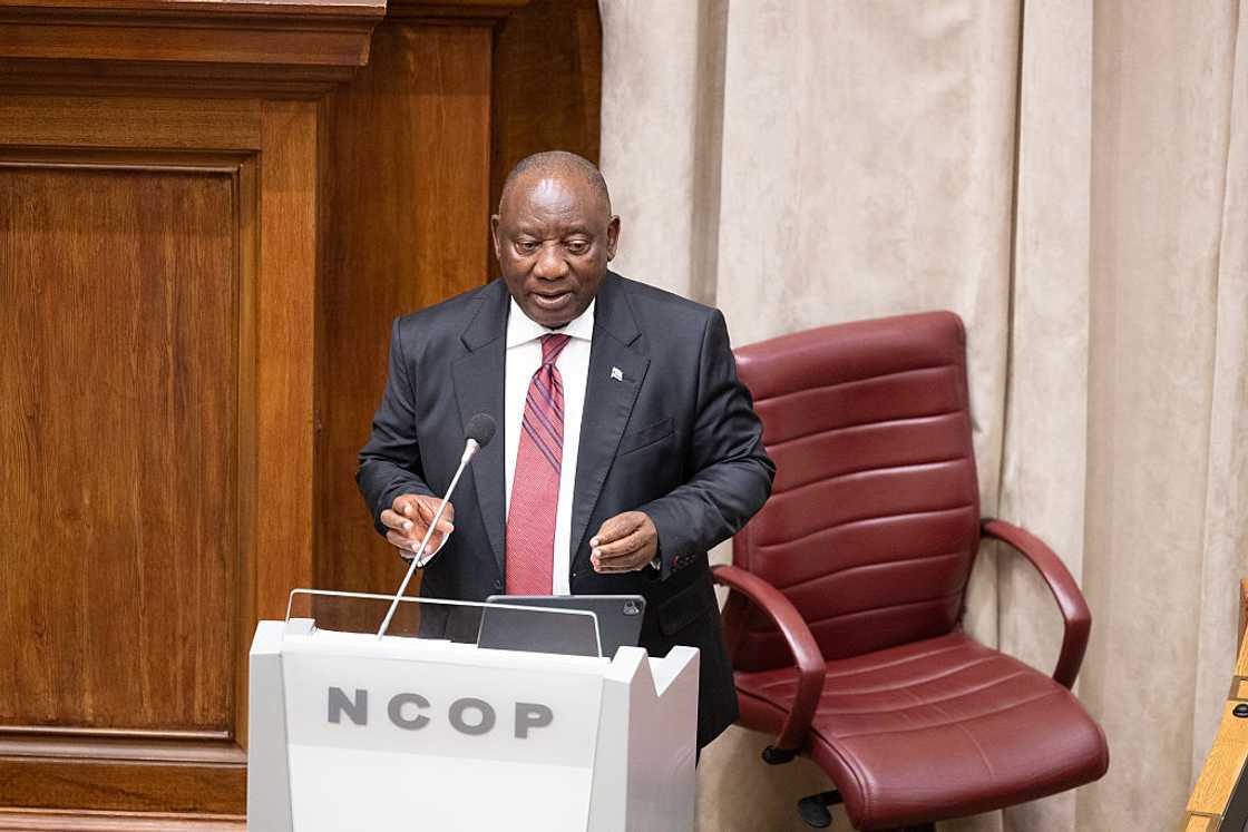 Cyril Ramaphosa might have to take action against Senzo Mchunu, an analyst said Cyril Ramaphosa might have to take action against Senzo Mchunu, an analyst said