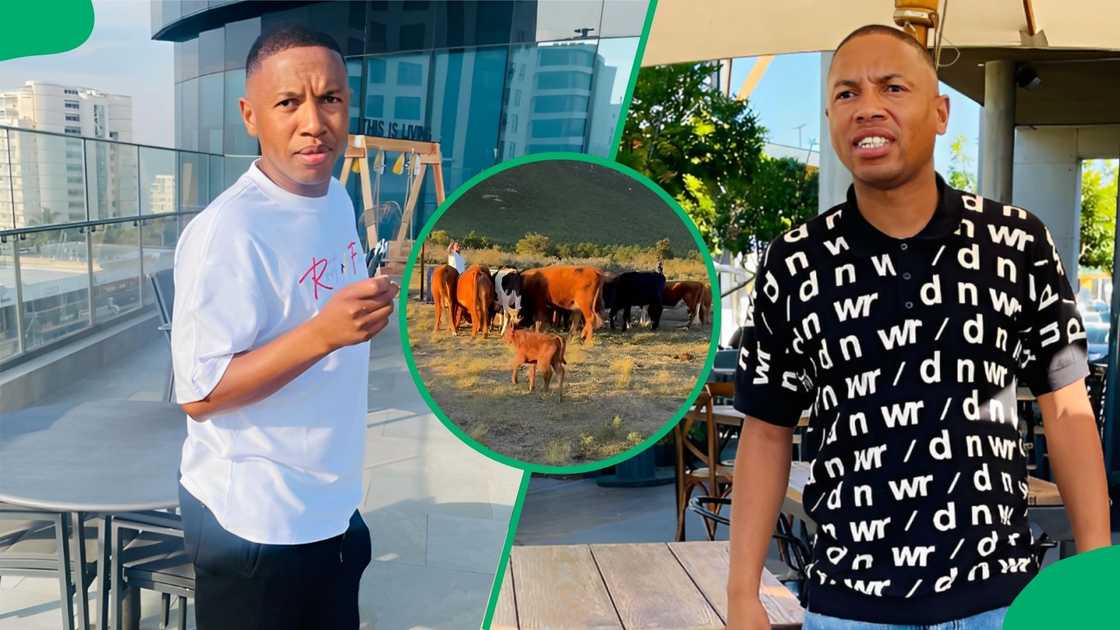 Andile Jali shows off his cattle.