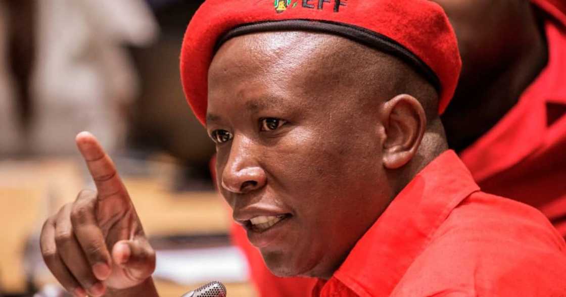 Economic Freedom Fighters, EFF, Leader, Julius Malema, Social media, Newspaper, Publication, Vaccine, Status, Party, ANC