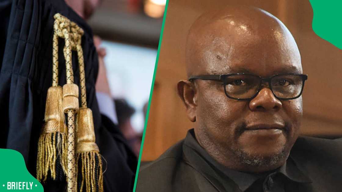 Senona's lawyer Senona's lawyer