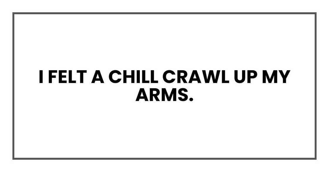 I felt a chill crawl up my arms. I felt a chill crawl up my arms.