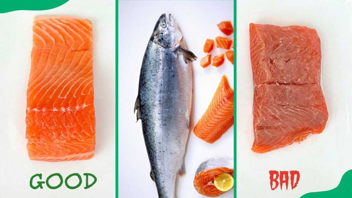 How to tell if salmon is bad