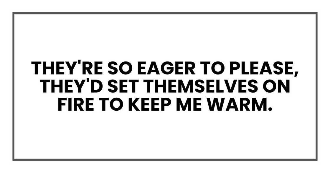 They're so eager to please, they'd set themselves on fire to keep me warm.