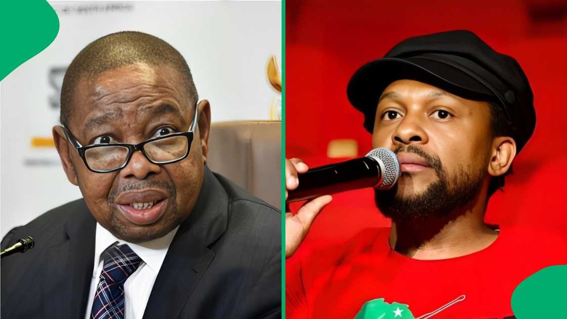 Ndlozi served sharp Blade Nzimande retort during Parliamentary session