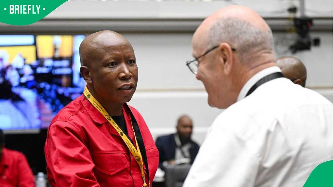 Julius Malema was not impressed with Paul O’Sullivan