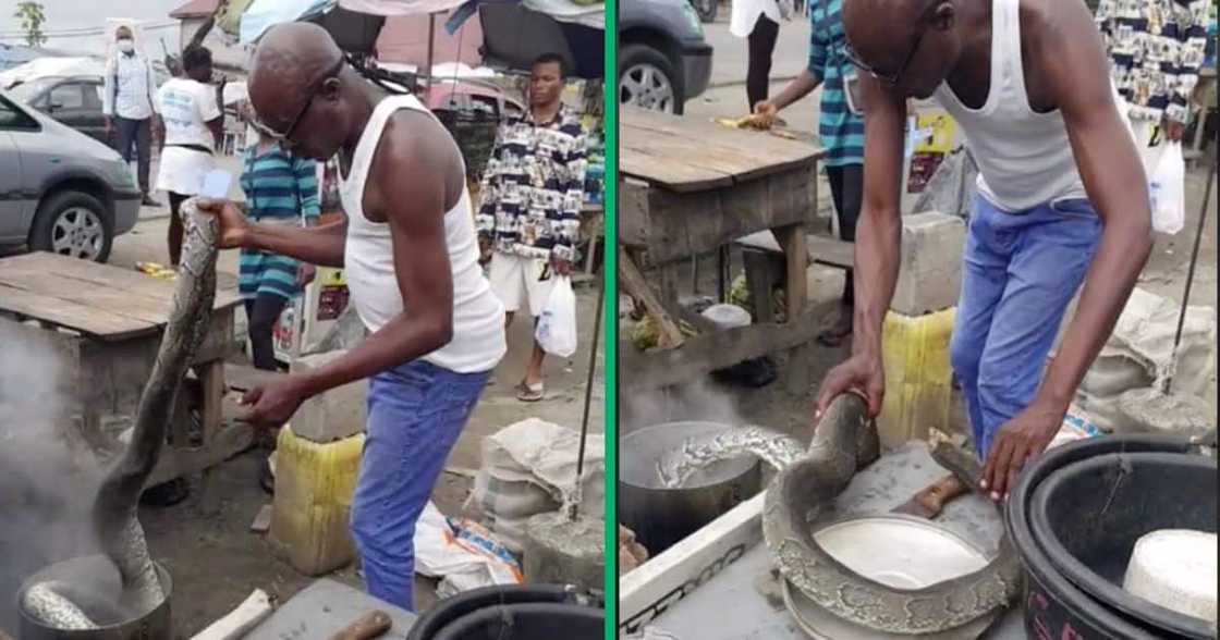 A man cooked a big snake in a pot and South Africans wanted to know why A man cooked a big snake in a pot and South Africans wanted to know why