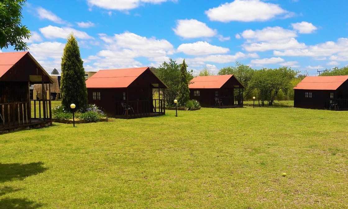 cheap camping sites in gauteng