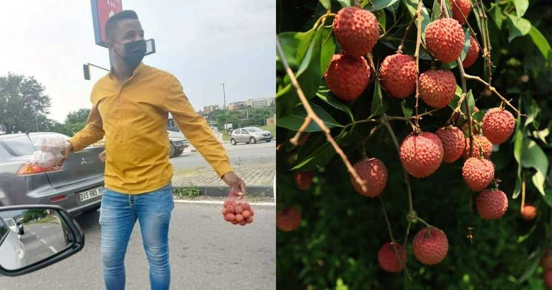Litchis, businessman, entrepreneur news, South African entrepreneur, selling fruits, no money, nothing to something, viral news, Kasi Economy Litchis, businessman, entrepreneur news, South African entrepreneur, selling fruits, no money, nothing to something, viral news, Kasi Economy