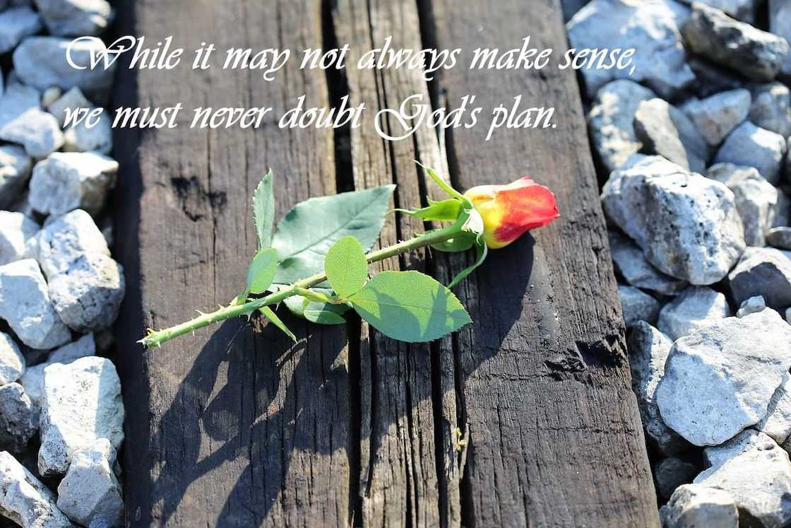 sincere condolences texts sincere condolences texts