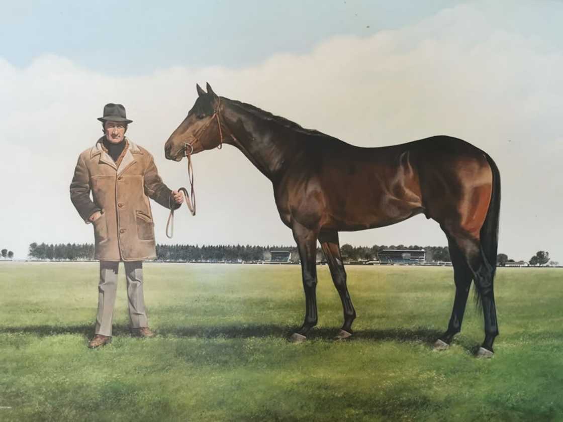 Ormond Ferraris, horse racing.