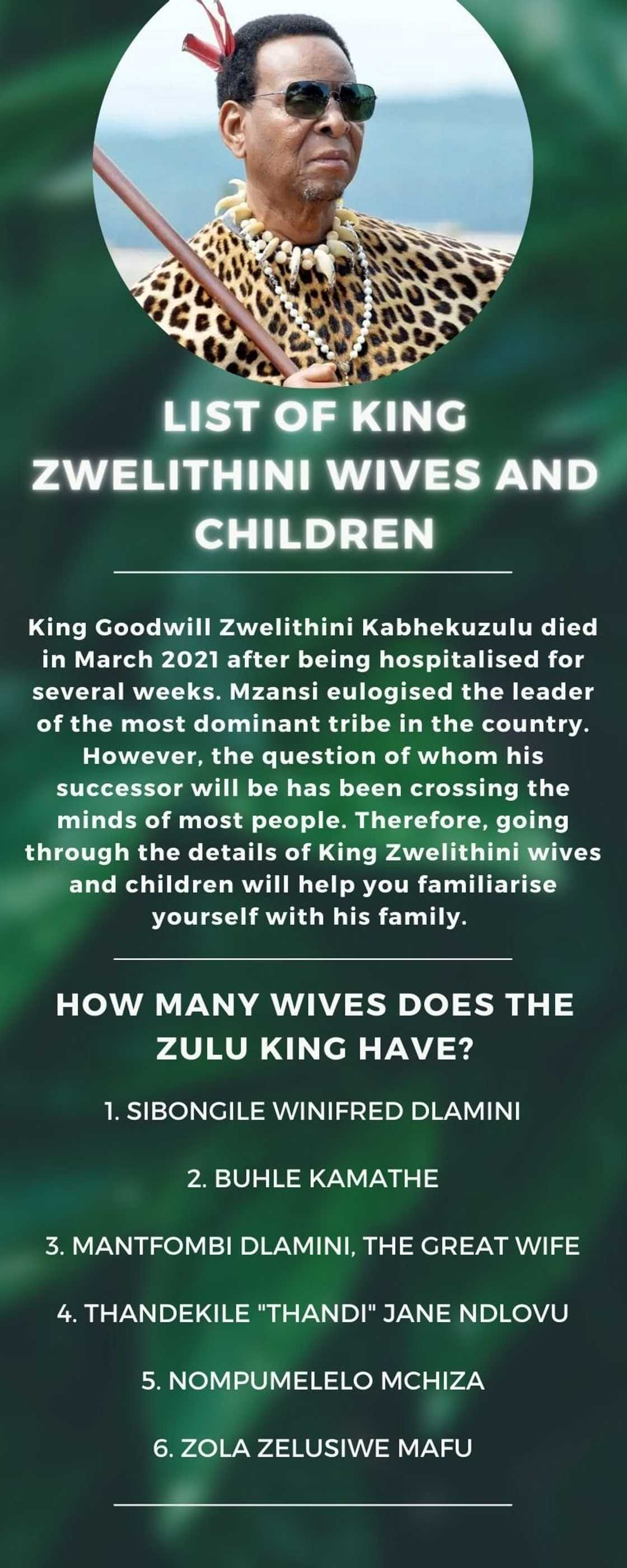 List of King Zwelithini wives and children