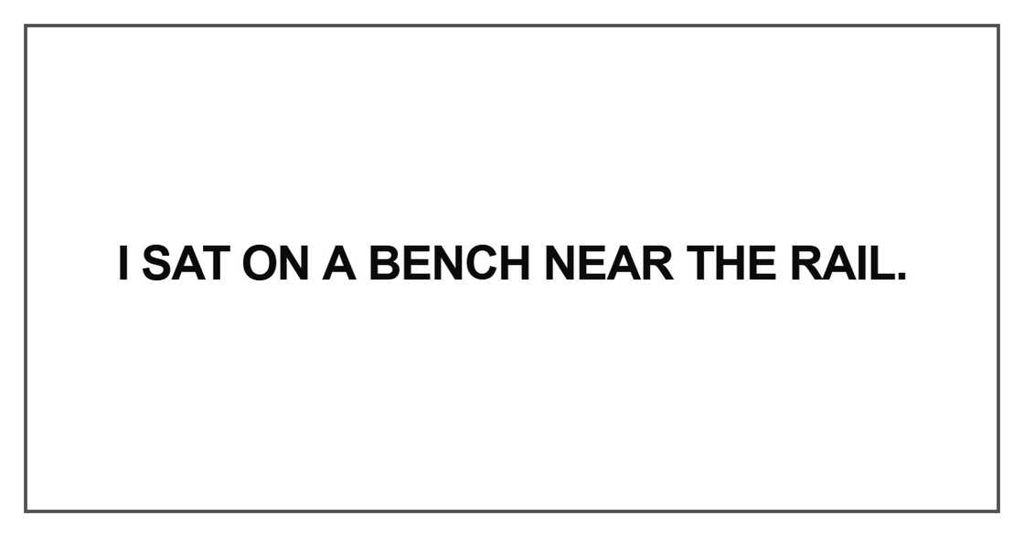 I sat on a bench near the rail