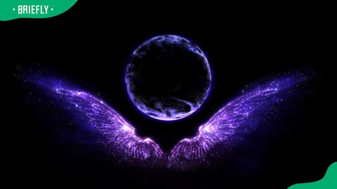 Star angel wings on a black background Star angel wings on a black background
