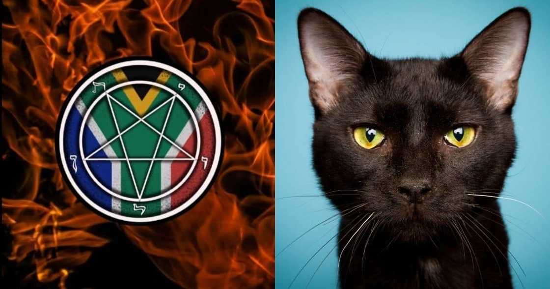 South African Satanic Church, distance itself, killings of 40 cats, Western Cape South African Satanic Church, distance itself, killings of 40 cats, Western Cape