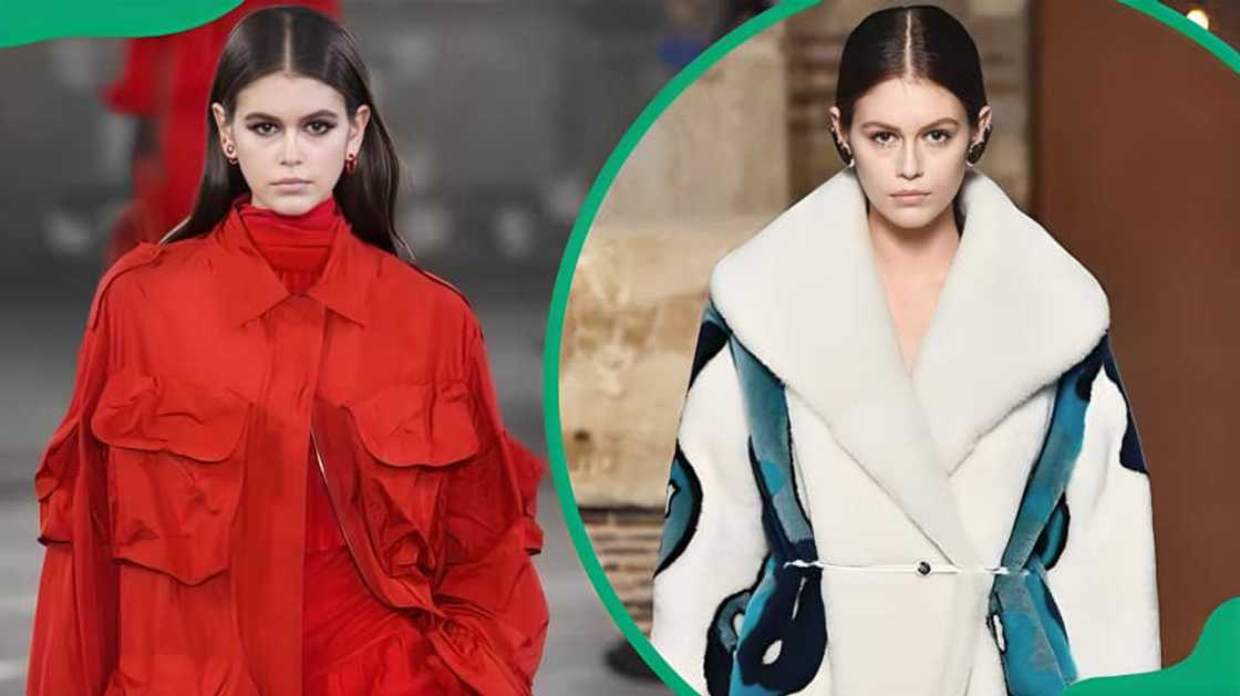 highest-paid model highest-paid model