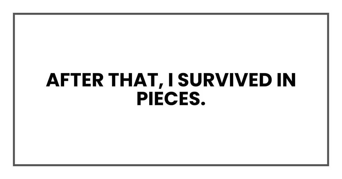 After that, I survived in pieces. After that, I survived in pieces.