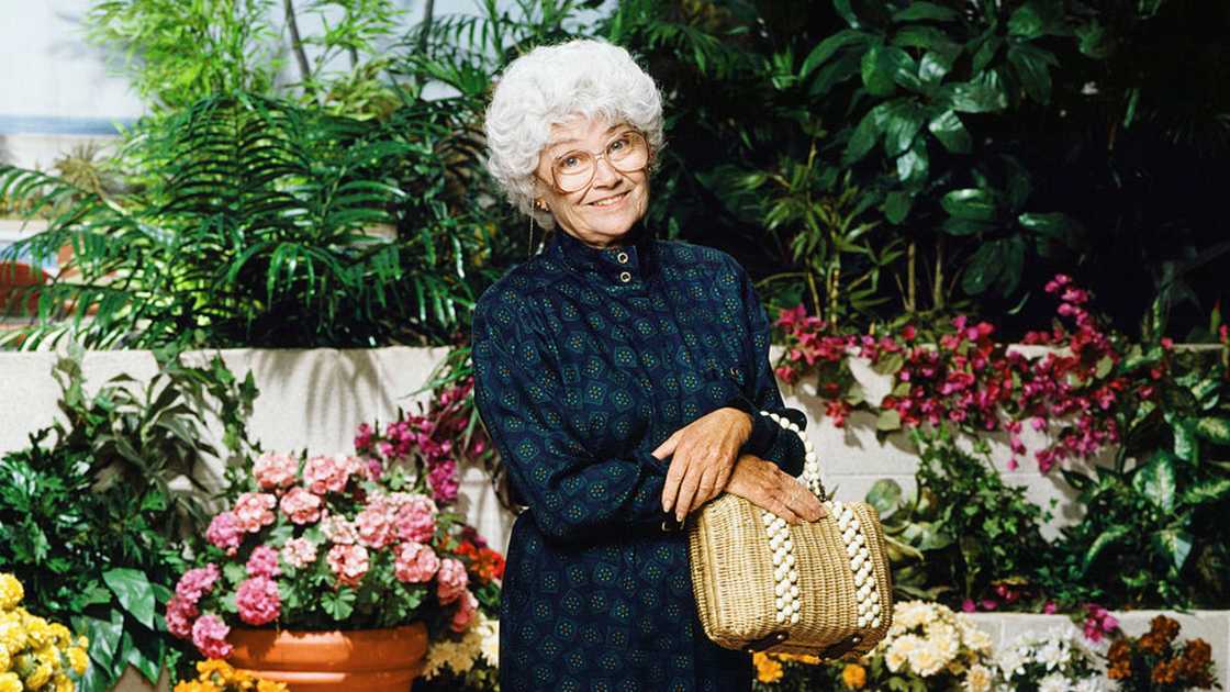 Estelle Getty on the set of The Golden Girls. Estelle Getty on the set of The Golden Girls.