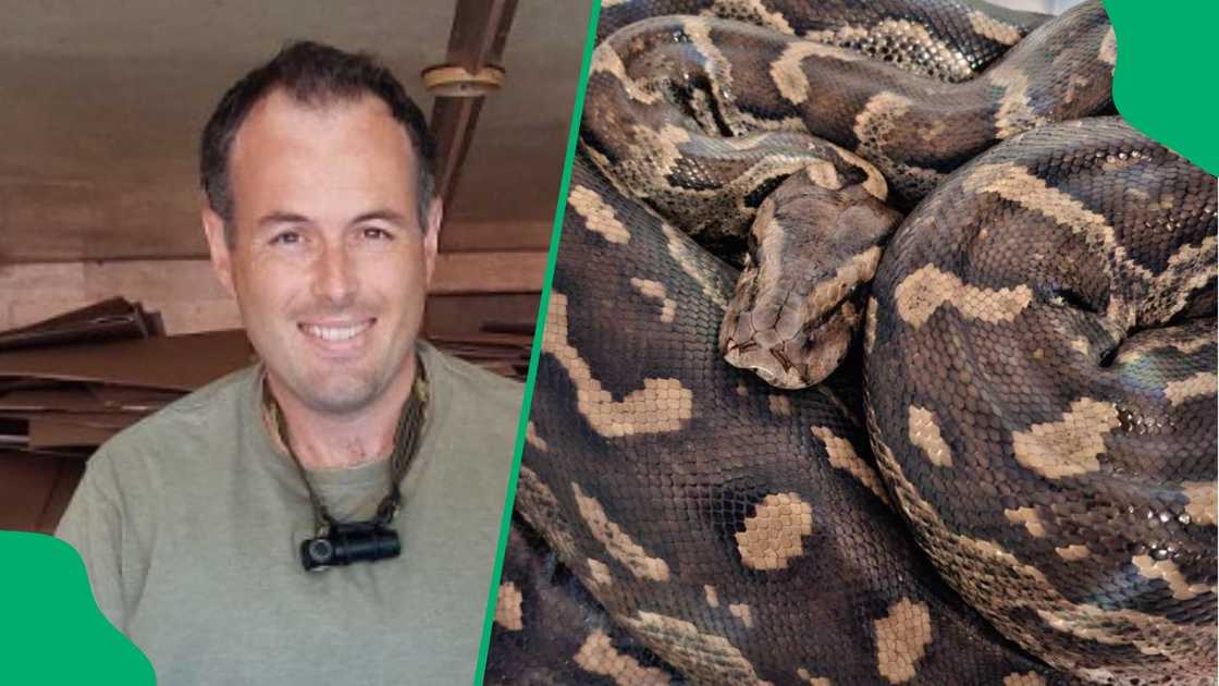 Nick Evans shows Christmas Day python rescue