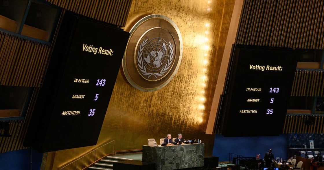 United Nations General Assembly