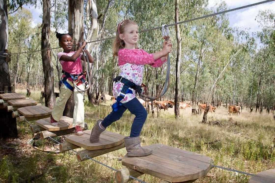 The complete list of things to do with kids in Johannesburg