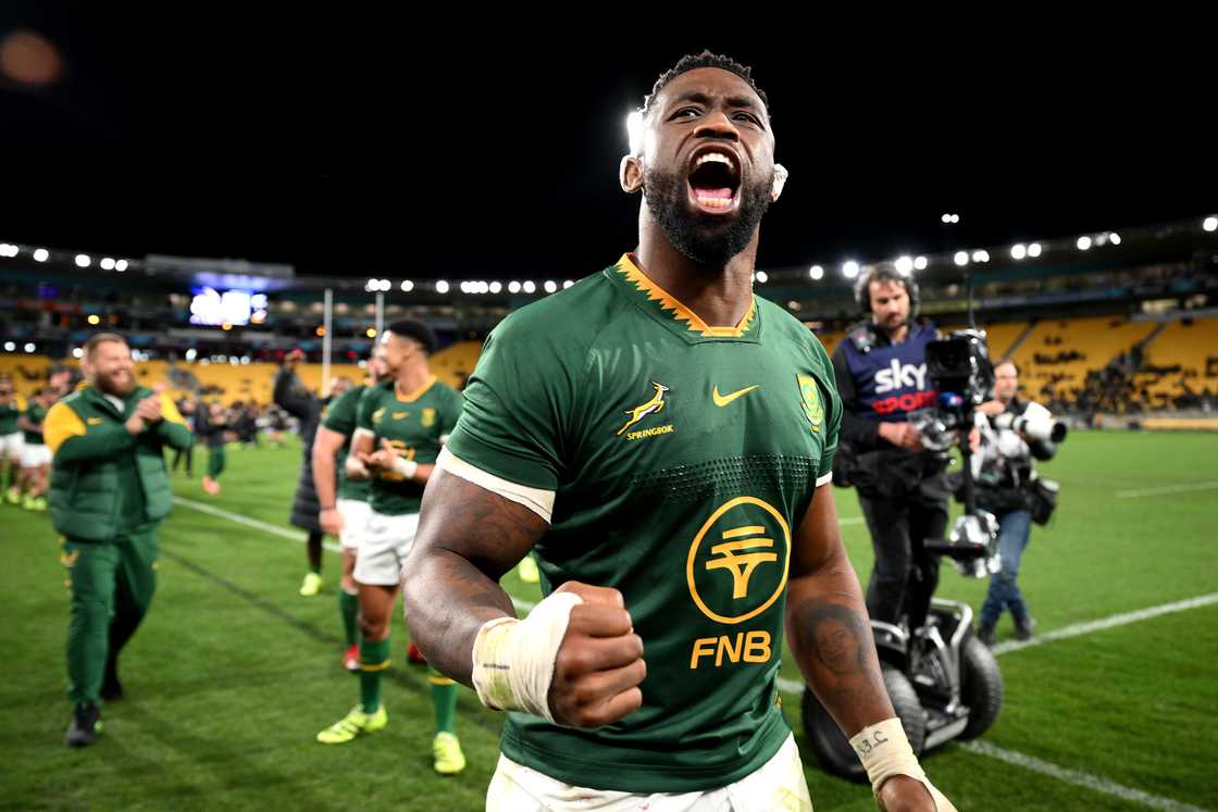 Siya Kolisi, Rugby Championship, New Zealand, All Blacks, South Africa, Springboks.
