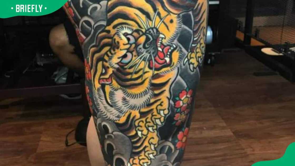 Japanese koi and tiger tattoo design Japanese koi and tiger tattoo design