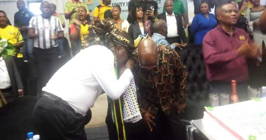 Ngizwe Mchunu and Jacob Zuma