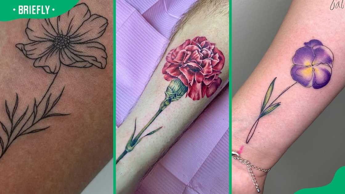 Cosmos (L), carnation flower tattoo (C), violet flower (R) Cosmos (L), carnation flower tattoo (C), violet flower (R)