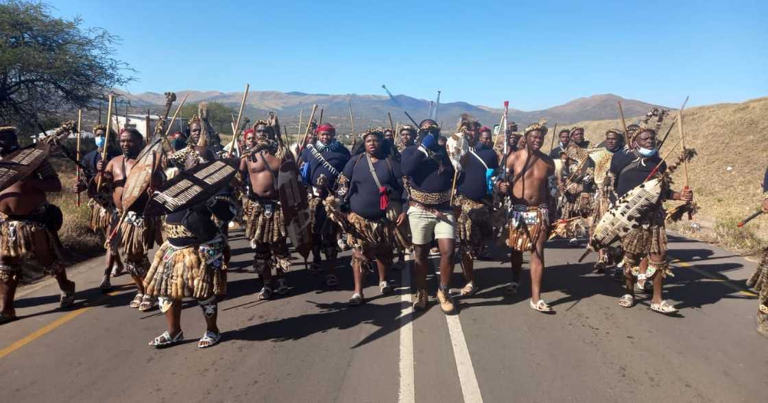 Zuma, Nkandla, Amabutho, King Misuzulu Ka Zwelithini Zuma, Nkandla, Amabutho, King Misuzulu Ka Zwelithini